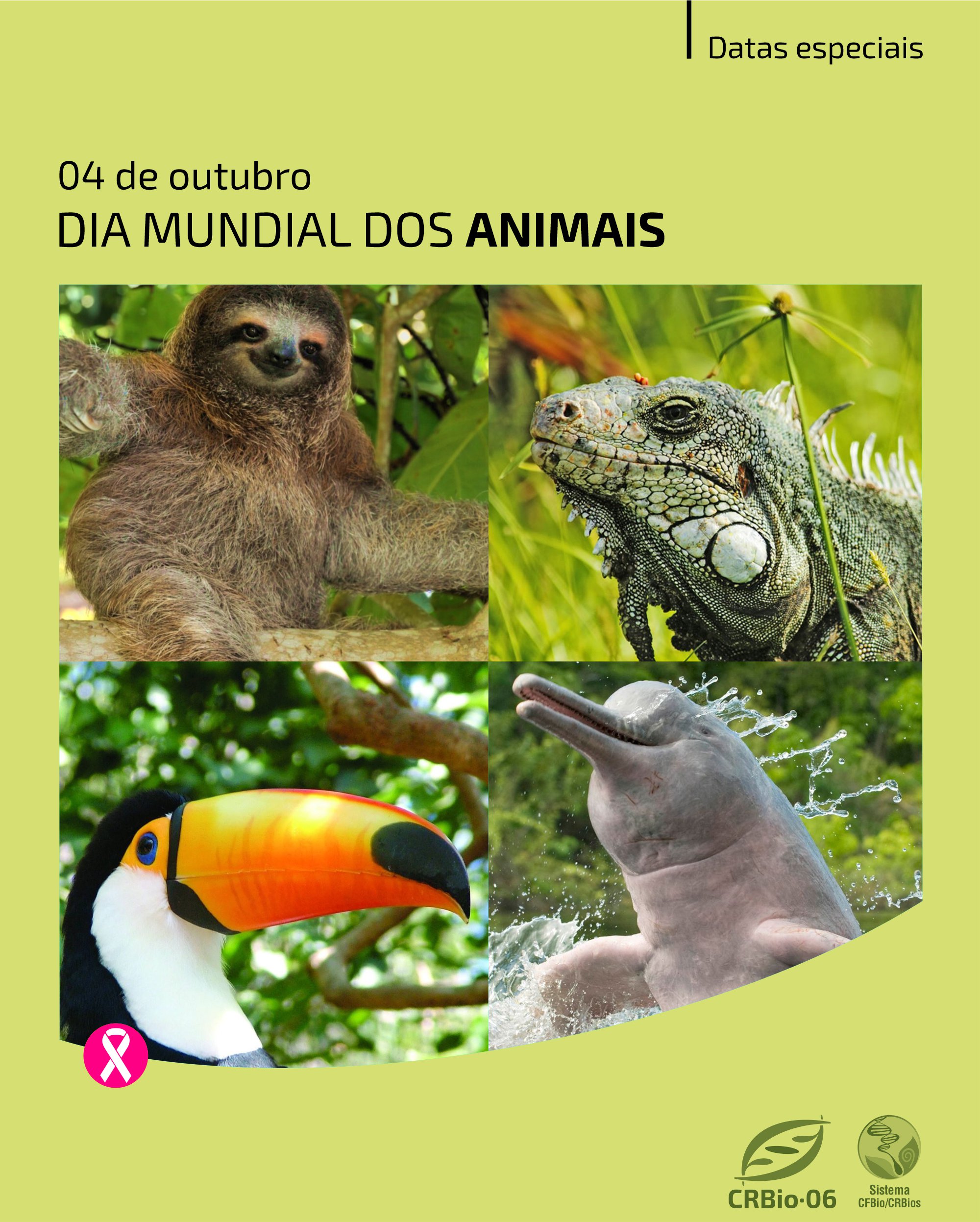 04/10 - Dia Mundial dos Animais - EDUCANDARIO MARTINS - GALO
